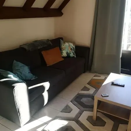 Apartamento Le Plouf Des Gargouilles Onet-le-Château